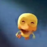 Crying duck
